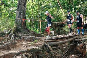 BIB: 
                            <button type="button" onclick="openModal(27556749)" class="btn btn-primary btn-sm float-right btn-popup" data-toggle="modal" data-target=".modal-high-quality">
                        <i class="fas fa-shopping-cart"></i> Add to Cart
                    </button>
                                            <button type="button" onclick="isThisMe(27556749, true)" class="btn btn-success btn-sm float-right btn-popup btn-isme hidden" data-toggle="tooltip" data-placement="bottom" title="นี่คือรูปของคุณใช่ไหม คลิกที่นี่เพื่อเอาเข้าอัลบั้ม">
                        <i class="fas fa-plus"></i> Add to album
                    </button>
                    <button type="button" onclick="isThisMe(27556749, false)" class="btn btn-warning btn-sm float-right btn-popup btn-isnotme hidden">
                        <i class="fas fa-ban"></i> Remove from album
                    </button>